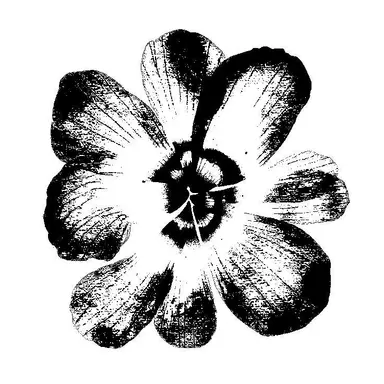 Profile image of 魔女196