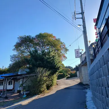 Profile image of 공룡