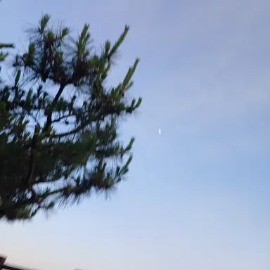 Profile image of 수현