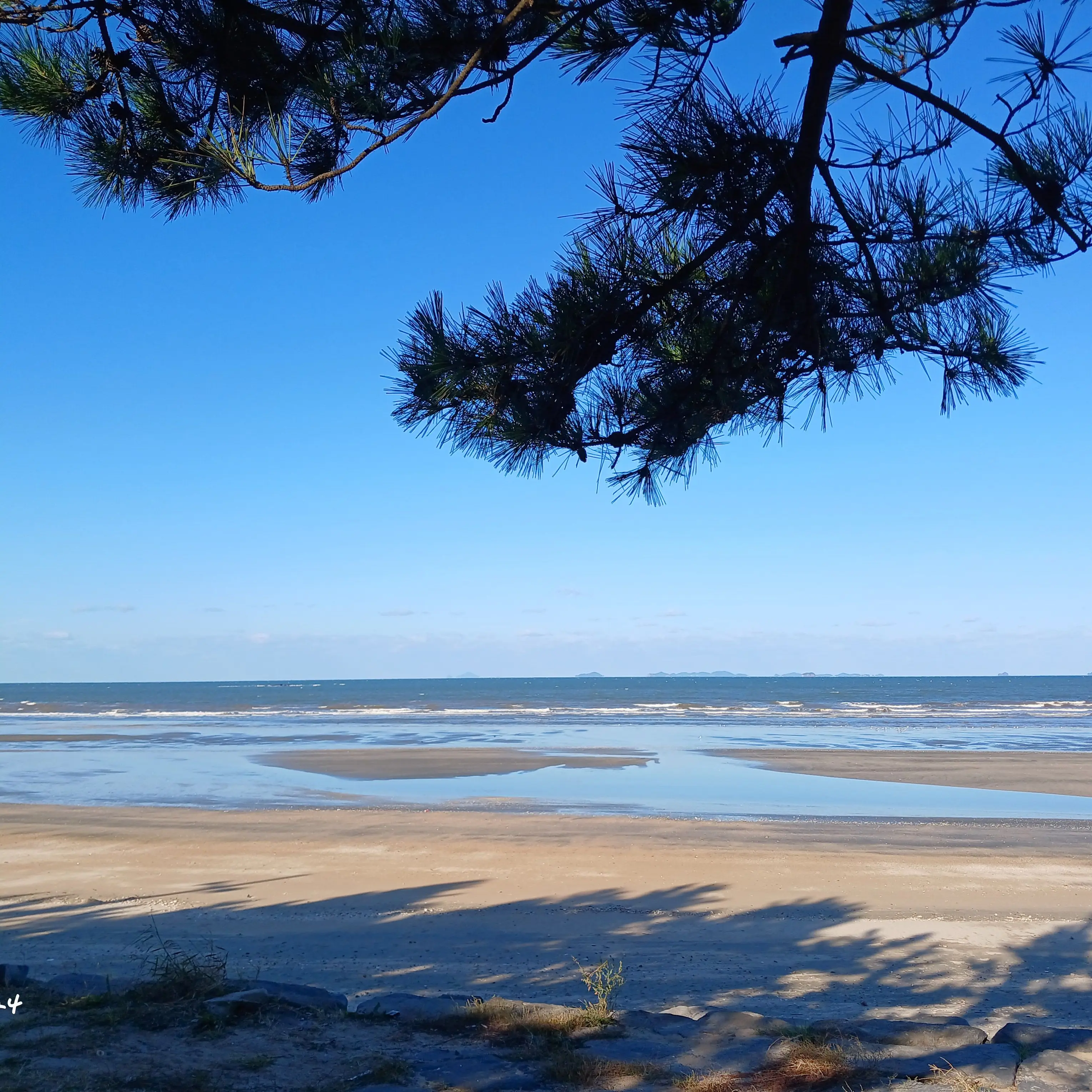 UniquePan1743의 작별이란 또 만나기 위해 있는거야.