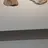 이태원
