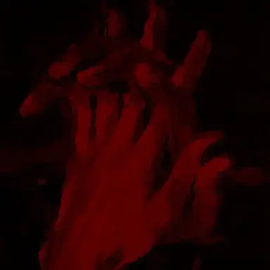 Profile image of チェ・エージェント