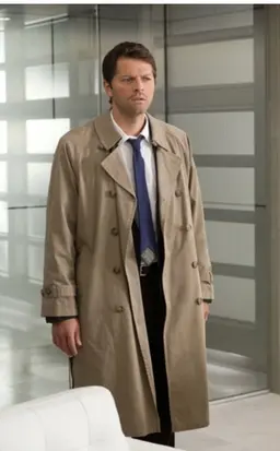 Profile image of Castiel