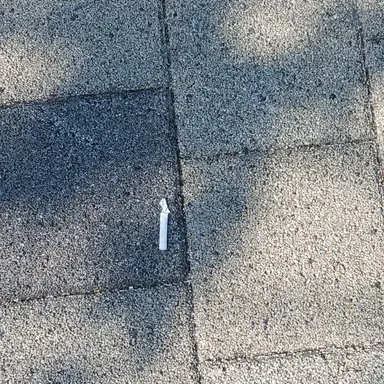 Profile image of 담배 넣어버리귀