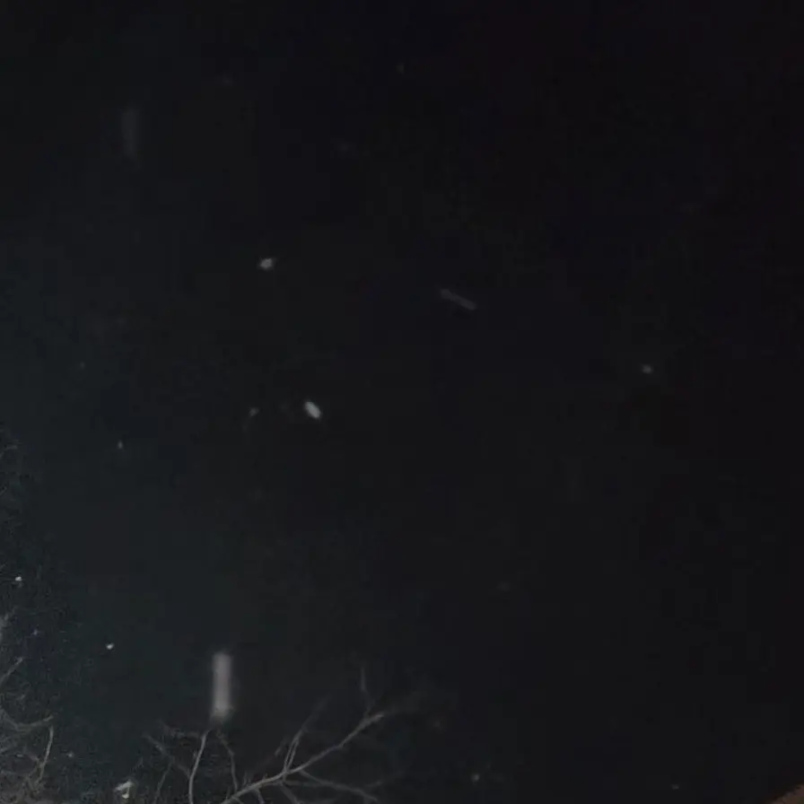 loveStrayKids의 방찬