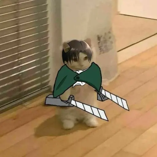 Levi160cm의 리바이