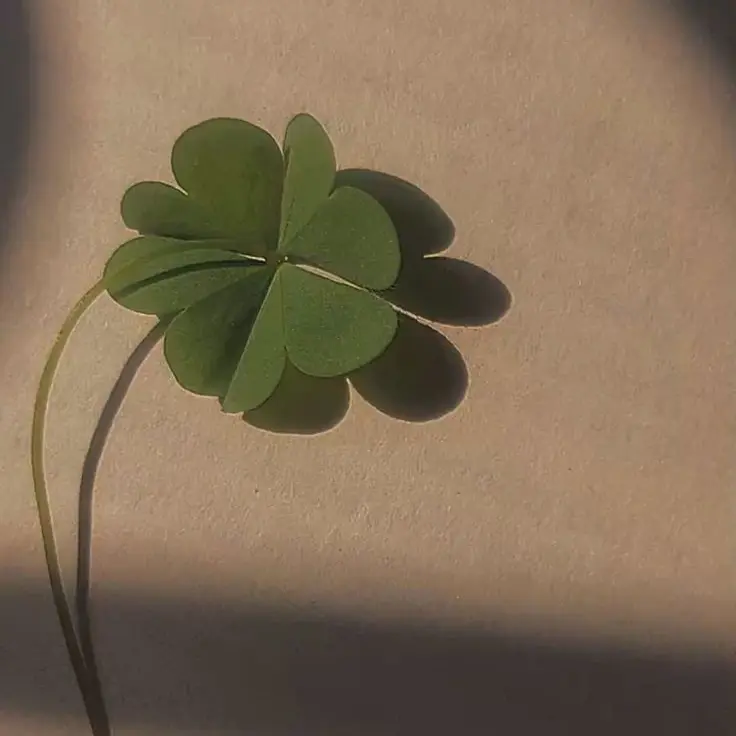 PurelyAnime8716의 아가 남친 키우기