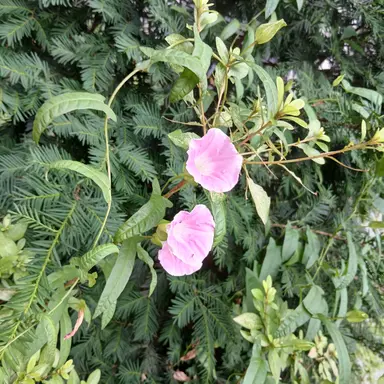 Profile image of user-유저님