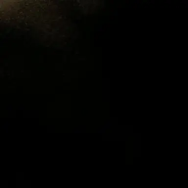 Profile image of 백지헌