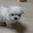 나나