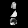 Profile image of J