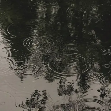 Profile image of 조민혁