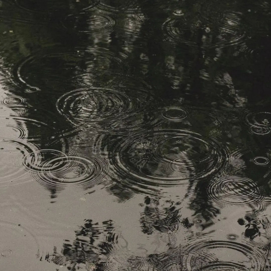 pipye0_0의 민모션 증후군