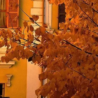 Profile image of 박덕개