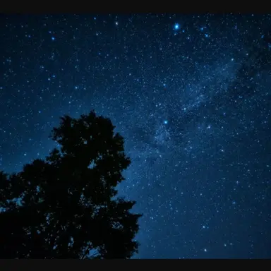 Profile image of Milky