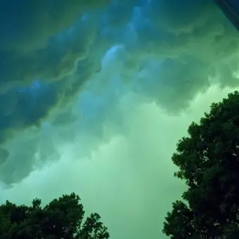 Profile image of 공룡