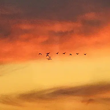 Profile image of 라더