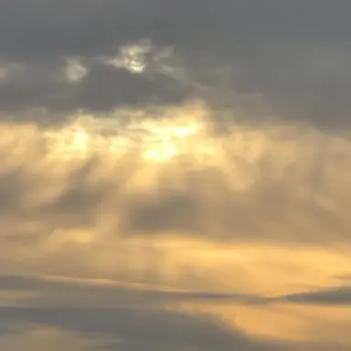 Profile image of 각별