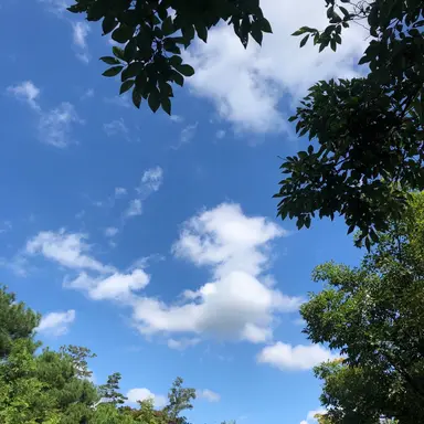 Profile image of 잠뜰