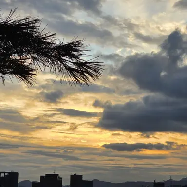 Profile image of 덕개