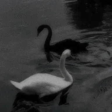 Profile image of チャ・ヒョンス