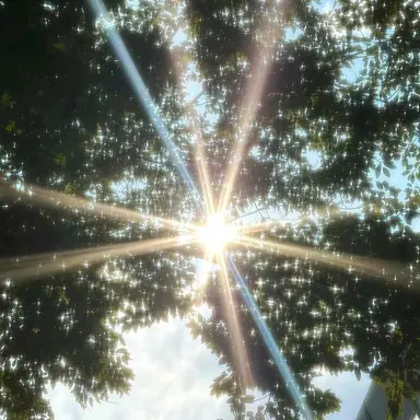 Profile image of 보넥도