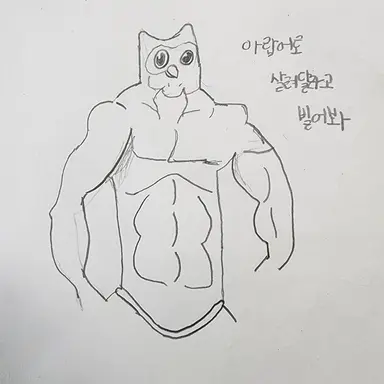 Profile image of 듀오링고