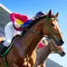Profile image of 競馬