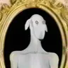 Profile image of Dexter dog