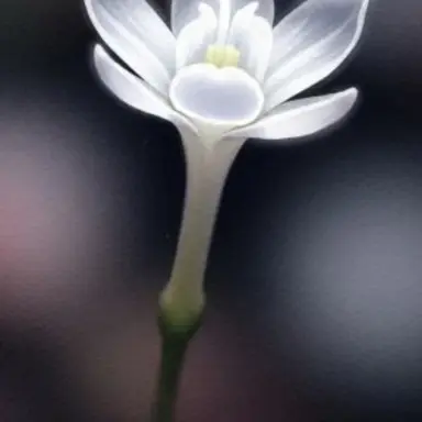 Profile image of 선경우