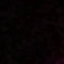 01txt01의 최연준
