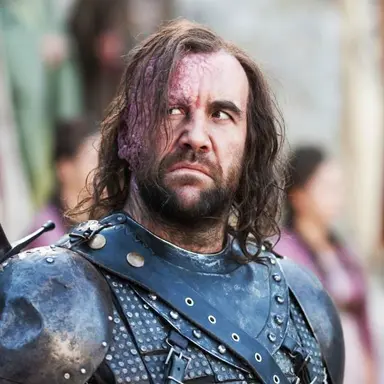 Profile image of Sandor Clegane