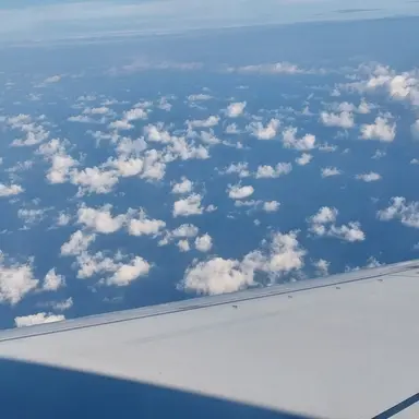 Profile image of 감제이