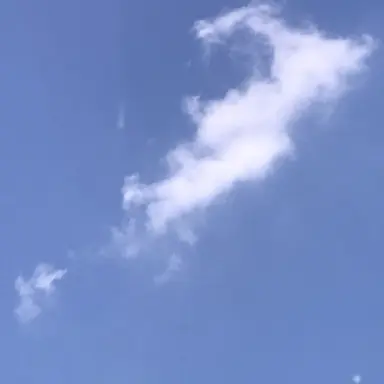 Profile image of 로베르토