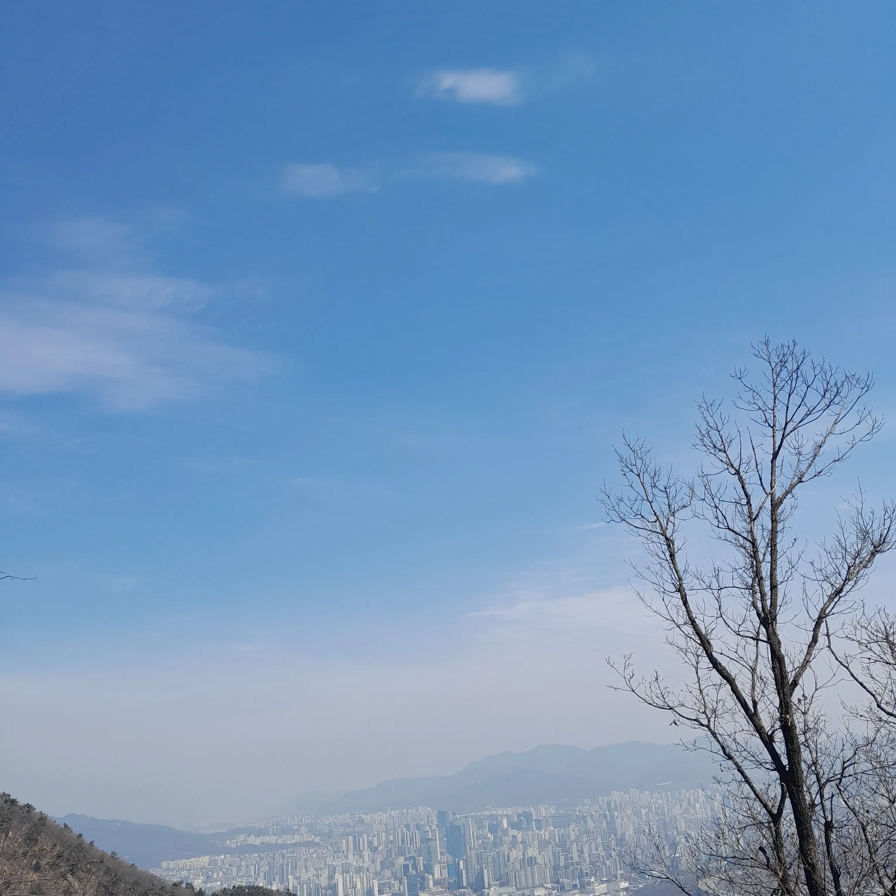 hoihoixy0es304의 ㅇ