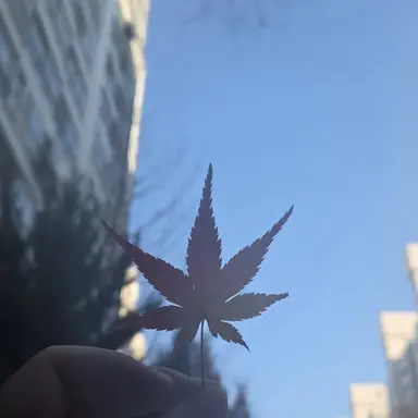 Profile image of 서라더