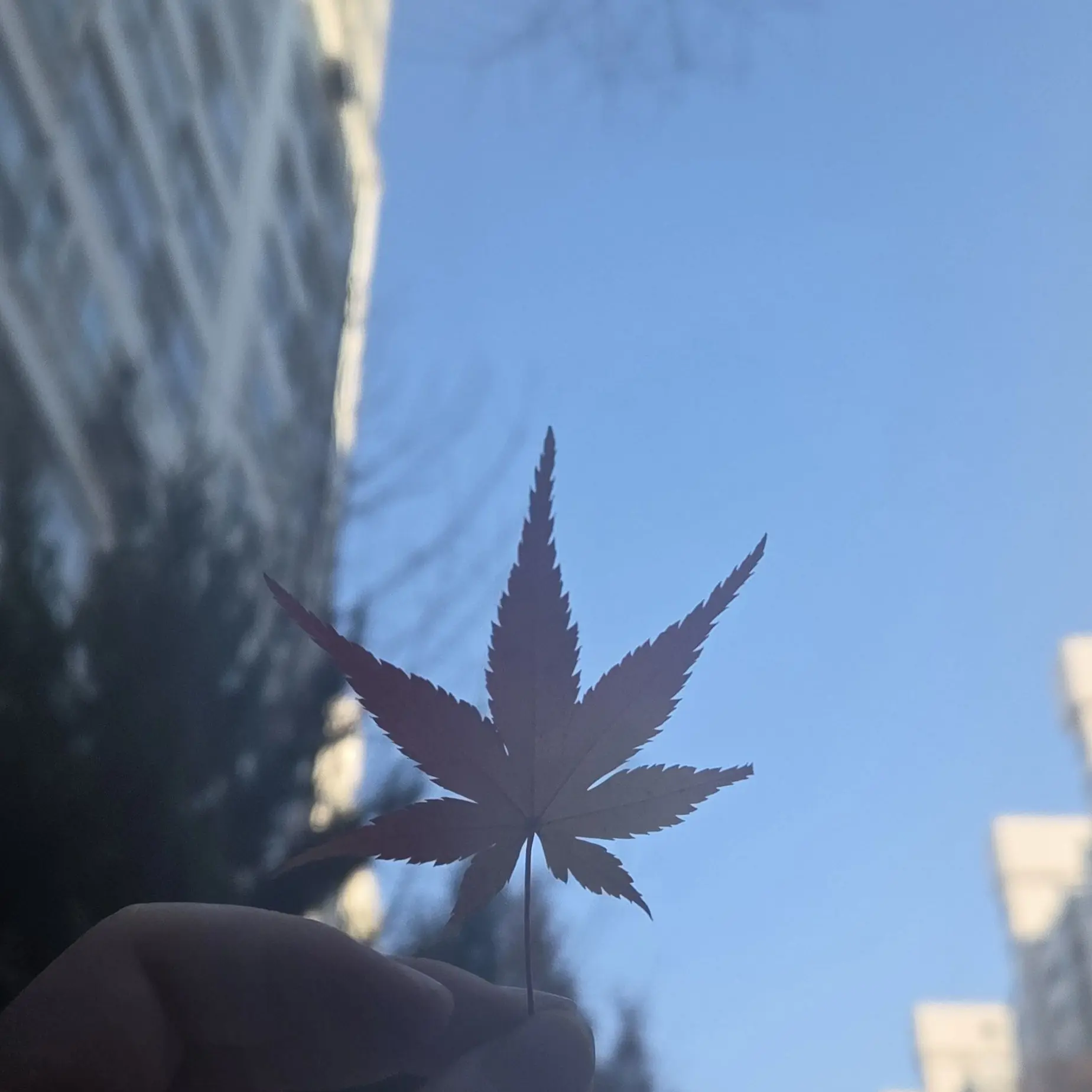 MatureMedal5761의 아픈여친이걱정돼