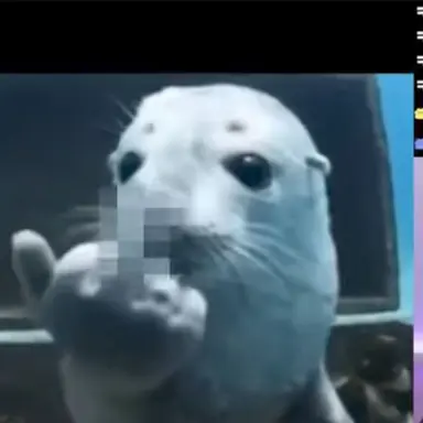 Profile image of 김늑대