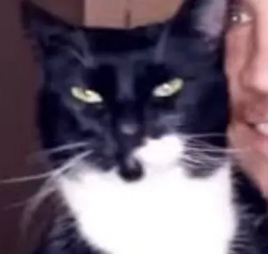 Profile image of Stormy