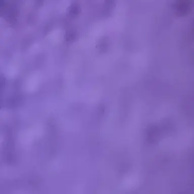 Profile image of ぼんじゅうる