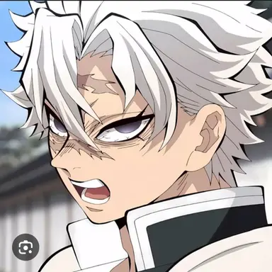 Profile image of 시나즈가와 사네미