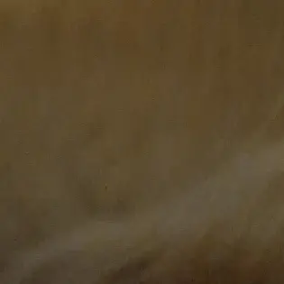 Profile image of 자대감