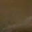 자대감