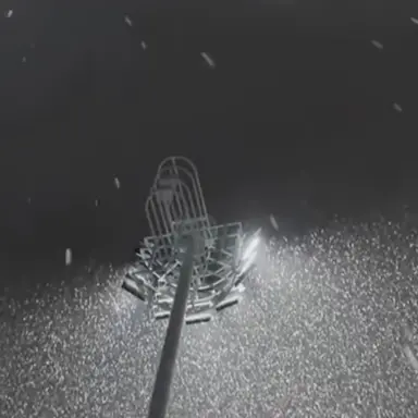 Profile image of 신