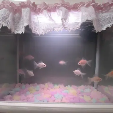 Profile image of 지한