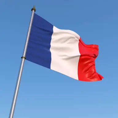 Profile image of フランス