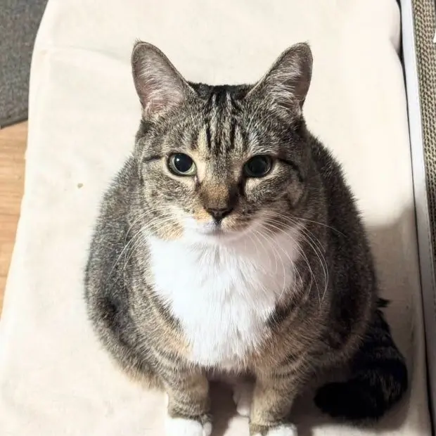 gegury의 언더월드