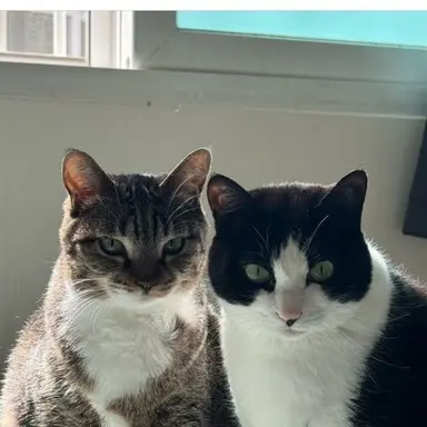 Profile image of 첨지