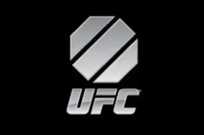 DottedBroom4624의 UFC RPG