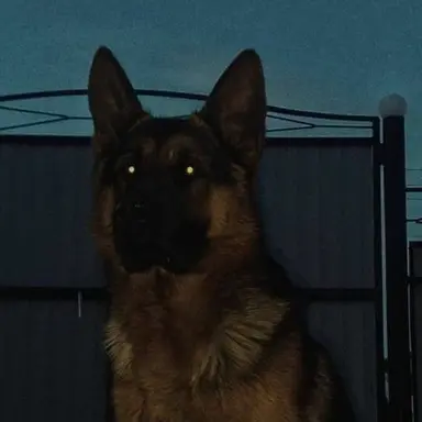 Profile image of 크루거